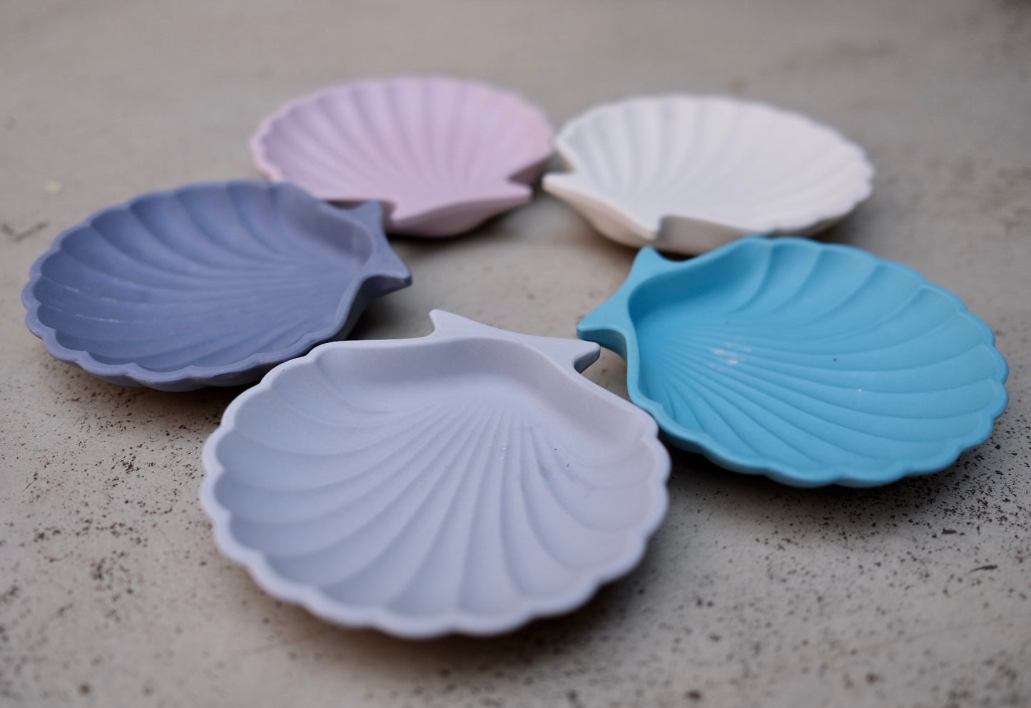 Shell Trinket Dish