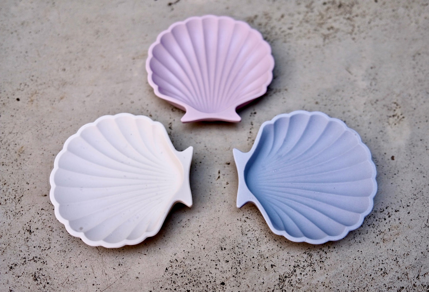 Shell Trinket Dish