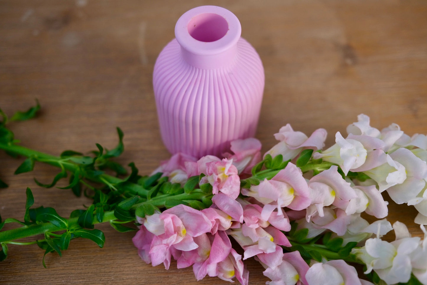 Short Cylinder Vase