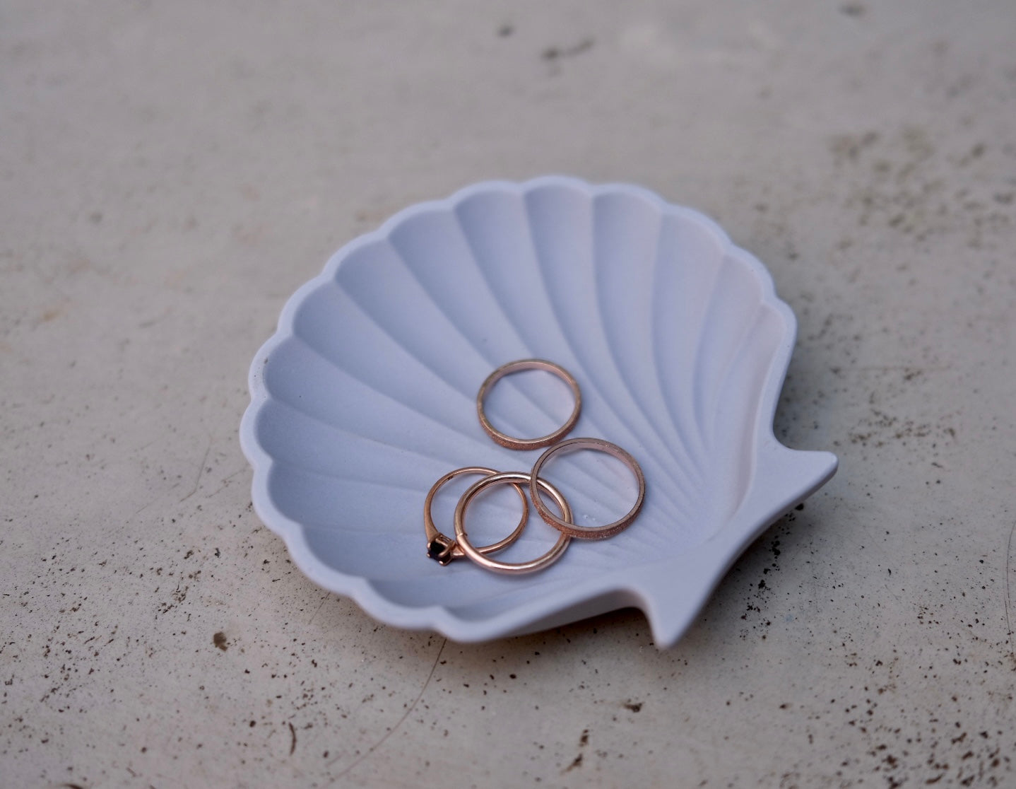 Shell Trinket Dish