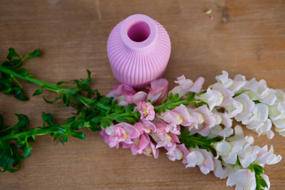 Short Cylinder Vase